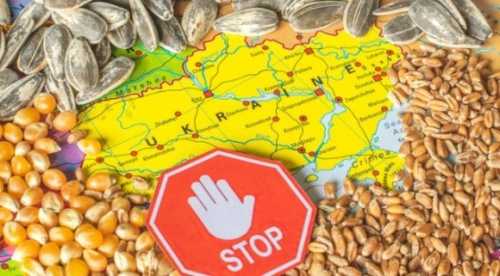 МЗС розкритикувало наміри п’яти країн ЄС продовжити заборону імпорту українського зерна - INFBusiness