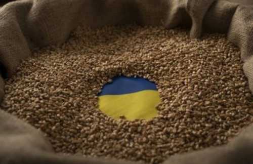 Угорщина хоче, щоб ЄС продовжив заборону на імпорт українського зерна після 15 вересня - INFBusiness