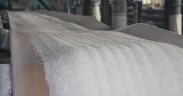Обсяги реалізації цукру в Астарті зросли на чверть у першому півріччі 2023 року - INFBusiness