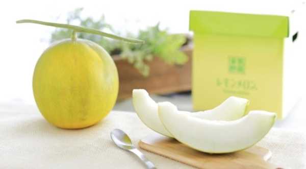 У Японії вивели сорт лимонної дині - INFBusiness