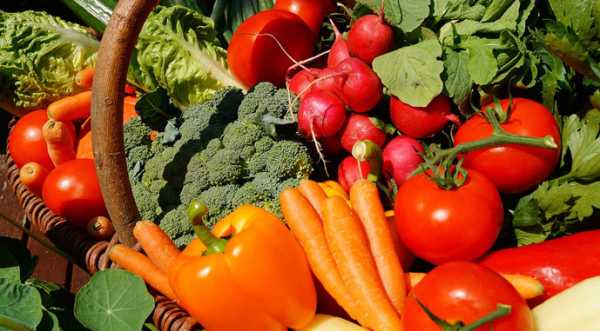 На Львівщині зібрали майже 230 тис. тонн овочів - INFBusiness