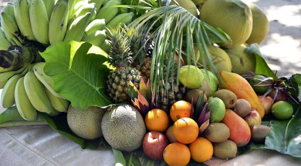 Розроблено покриття, яке при перевезенні зберігає до 50% фруктів - INFBusiness