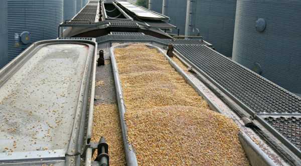 Дотація ЄС на транзит українського зерна піде у кишеню трейдерам, а не аграріям - INFBusiness