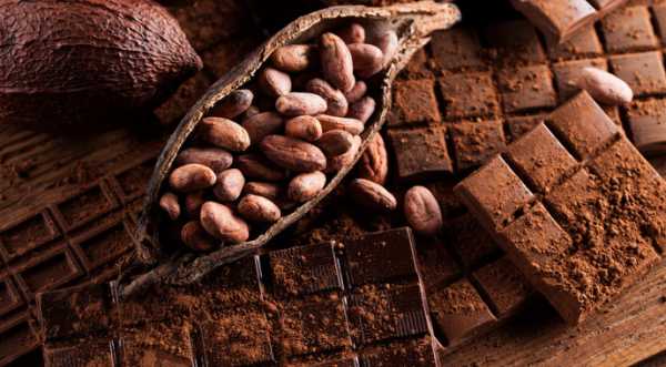 Новий замінник какао-масла здешевить виробництво шоколадних виробів - INFBusiness