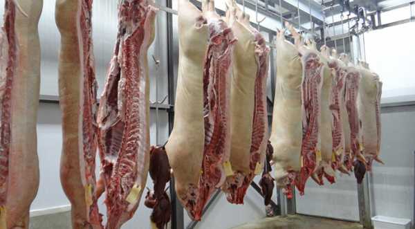 На ринку свинини з'явилися натяки на консолідацію цін у всіх регіонах - INFBusiness