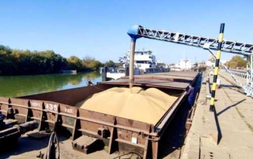 Дунайське пароплавство запустило нову лінію з перевезення зерна до Румунії - INFBusiness
