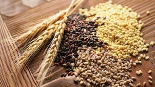 Уряд затвердив порядок ввезення насіння і садивного матеріалу - INFBusiness