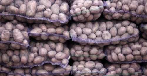 На Кіровоградщині падають ціни на картоплю - INFBusiness