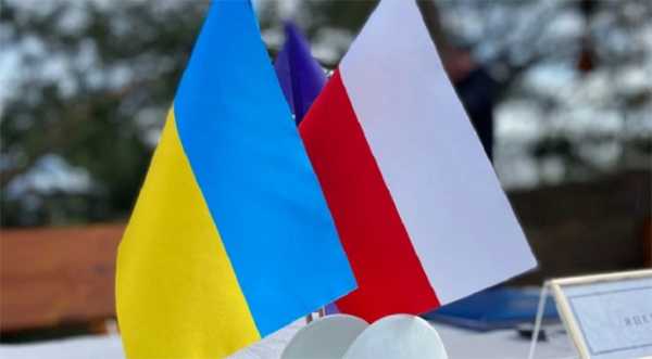 Молочарі України та Польщі звернулись до своїх урядів
