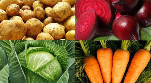 Україна навесні буде імпортувати всі овочі борщового набору - INFBusiness