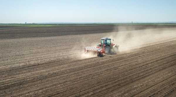 В Україні вже посіяли по мільйону гектарів ріпаку та пшениці