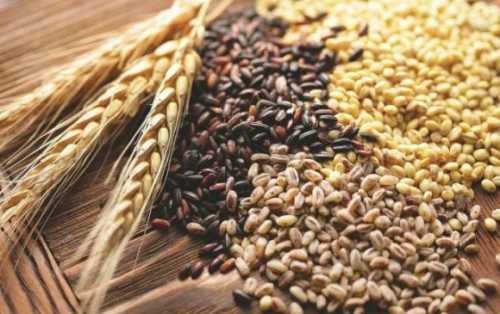 Врожайність зернових та зернобобових на Черкащині – понад 55 ц/га - INFBusiness