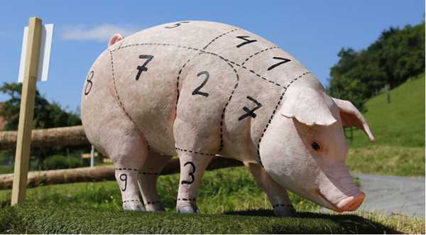 Конкуренція на ринку свинини підігріває ціни - INFBusiness