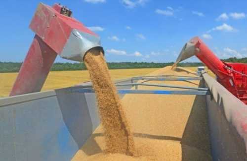 Транзит українського зерна через Польщу можуть контролювати Литва та Німеччина - INFBusiness