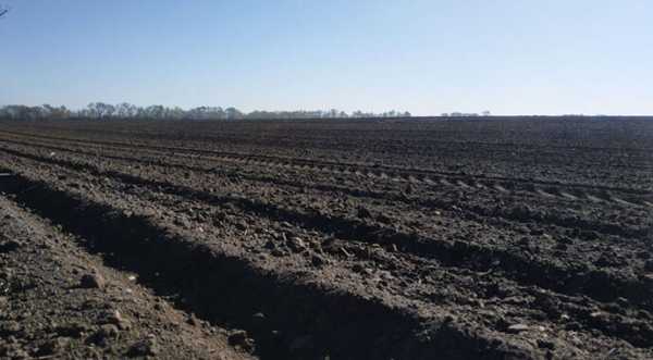 Гідрометцентр: Україна потерпає від ґрунтової засухи - INFBusiness