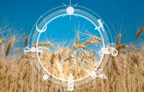 Україна планує залучити $700 млн для відновлення сільського господарства - INFBusiness