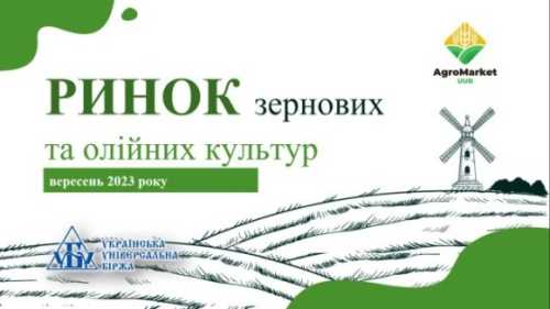 Підсумки вересня на ринку зернових та олійних - INFBusiness