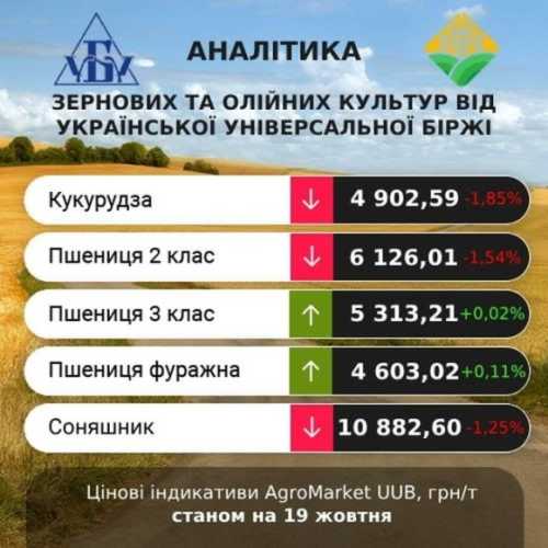 Проміжні підсумки цінових індикативів за 16-19 жовтня - INFBusiness