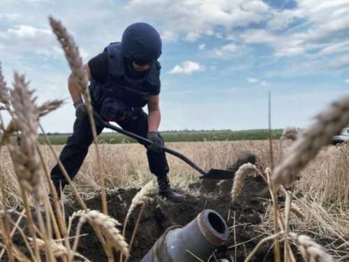 Аграрні розписки розширять фінансування аграріїв на деокупованих територіях - INFBusiness