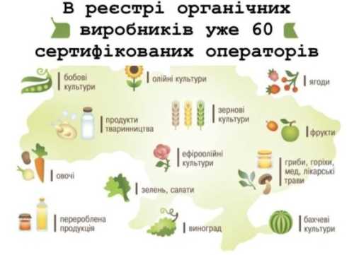 В Україні збільшилась кількість сертифікованих виробників органічної продукції - INFBusiness