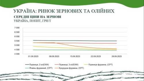 Підсумки вересня на ринку зернових та олійних - INFBusiness