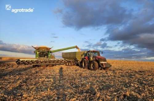 У Групі АГРОТРЕЙД урожайність кукурудзи істотно перевищує заплановану – 138% - INFBusiness
