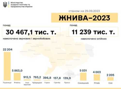 В Україні зібрали майже 42 млн тонн зернових та олійних - INFBusiness