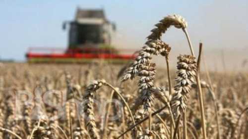 Україна запозичить у Японії досвід відновлення аграрного сектору - INFBusiness