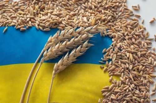 Україна займає третє місце серед постачальників агропродукції до ЄС - INFBusiness