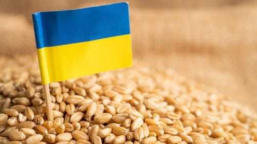 Україна готова постачати продовольство на світовий ринок навіть в умовах війни, – Сергій Кислиця - INFBusiness