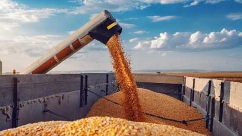 Ситуація з експортом зерна має покращитись в найближчі місяці - INFBusiness
