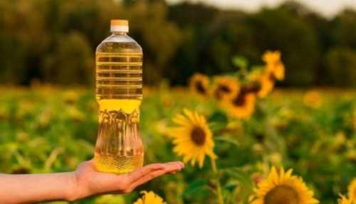 Україна на 30% збільшила експорт соняшникової олії до ЄС - INFBusiness