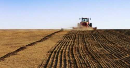 Наступного року урожай зерна буде меншим через скорочення площ, – Сольський - INFBusiness