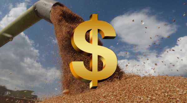 В Україну не повернулось $3 млрд від експорту агропродукції - INFBusiness