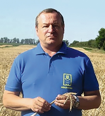 Пшениця озима в Україні: передумови перезимівлі, моніторинг, стратегія догляду - INFBusiness
