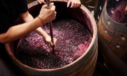 Світове виробництво вина буде найменшим з 1961 року - INFBusiness