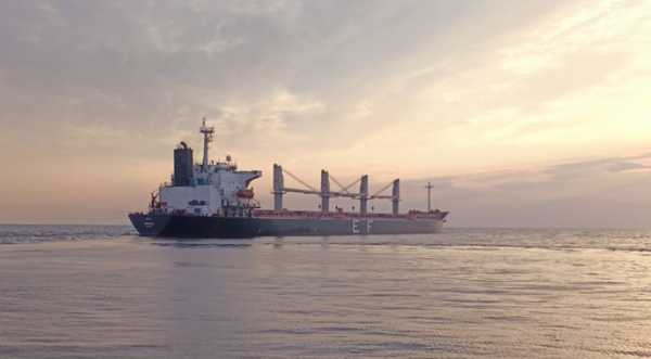 Страхувальники підняли тарифи через обстріл росіянами судна в порту Південний - INFBusiness