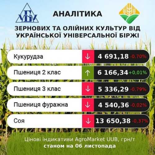 Трейдери прогнозують зростання цін на пшеницю - INFBusiness