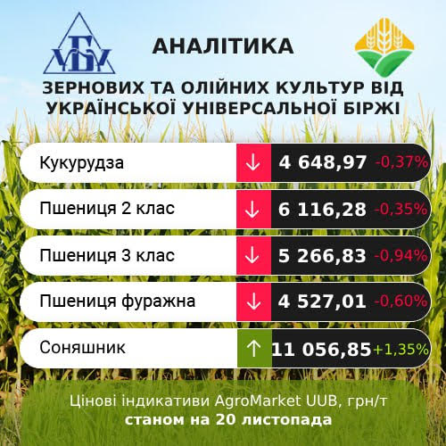 Ціни на зерно знижуються, на олійні — зростають - INFBusiness