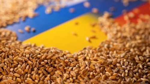 На роботу програми «Зерно з України» вже акумульовали $100 млн - INFBusiness