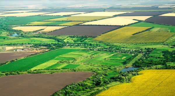 NASA: На окупованих територіях України намолотили понад 6 млн т пшениці - INFBusiness