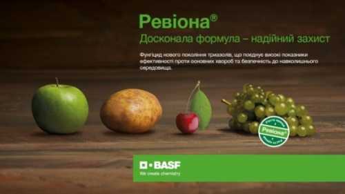 BASF представляє новий інноваційний продукт Ревіона® - INFBusiness