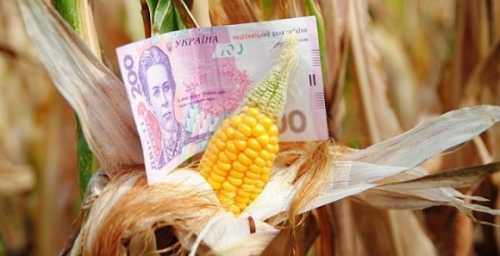 Аграріям потрібні додаткові джерела фінансування, – Денис Марчук - INFBusiness