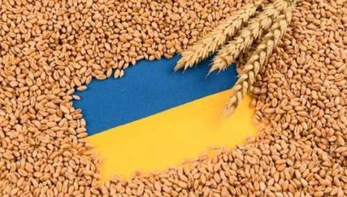 Латвія виділила чергові 50 тис. євро на програму «Зерно з України» - INFBusiness