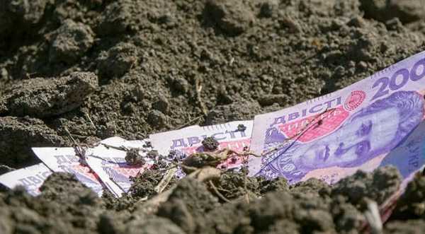 Уряд дозволив використовувати державні гранти для оренди землі - INFBusiness