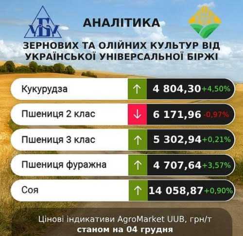 В Україні зросли ціни на кукурудзу та фуражну пшеницю - INFBusiness