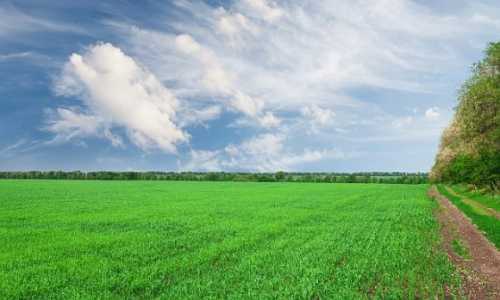 Земельну реформу відкладати не можна, – міністр - INFBusiness