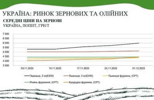 Ціни на зернові у листопаді зростали - INFBusiness