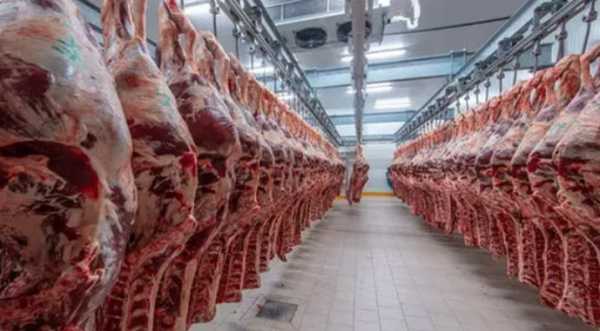 Rabobank: світовий попит на яловичину слабшатиме - INFBusiness