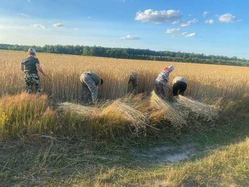 У Києві на Різдво встановили найбільший тризуб з дідухів в Україні - INFBusiness